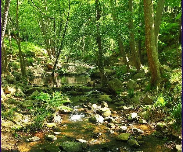 Parc Gualba Κάμπινγκ *