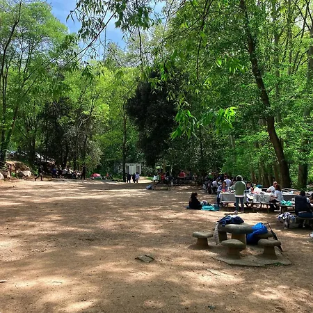 Càmping Parc Gualba * Gualba de Dalt