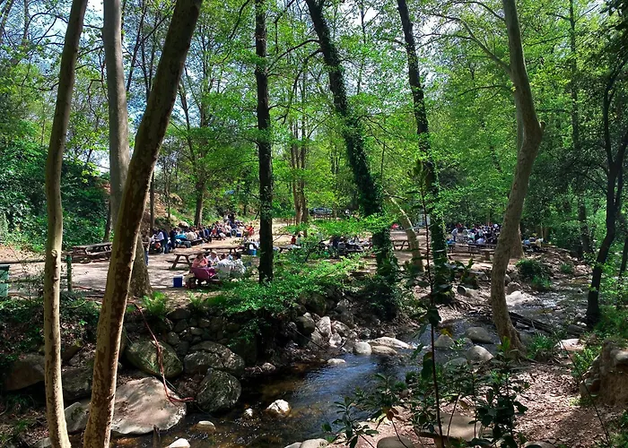 Parc Gualba